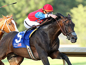 It's a Bird Positive After Oaklawn Handicap It's a Bird Positive After Oaklawn Handicap