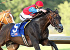 It's a Bird Positive After Oaklawn Handicap
