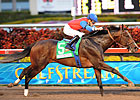 It's a Bird Soars in Millions Classic