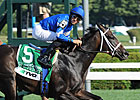 3-Time Grade I Winner It's Tricky Retired 3-Time Grade I Winner It's Tricky Retired
