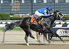 It's Tricky Rolls to Distaff Handicap Win It's Tricky Rolls to Distaff Handicap Win