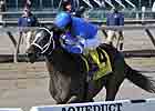It's Tricky Stands Out in Distaff Handicap