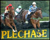 Quel Senor, 10 Others Vie in Colonial Cup Quel Senor, 10 Others Vie in Colonial Cup