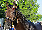 Haskin's Derby Report: Oh, Happy Day