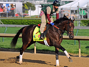 Itsmyluckyday Likely Starter in Preakness Itsmyluckyday Likely Starter in Preakness