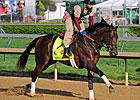 Itsmyluckyday Likely Starter in Preakness