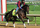 Itsmyluckyday's Preakness Work Postponed Itsmyluckyday's Preakness Work Postponed