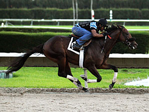 Itsmyluckyday Breezes a Mile at Calder Itsmyluckyday Breezes a Mile at Calder