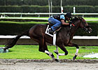 Itsmyluckyday Breezes a Mile at Calder Itsmyluckyday Breezes a Mile at Calder