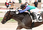 Unlocking Winners: Florida, LA Derby Picks