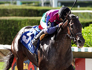 Plesa's Itsmyluckyday Breezes Mile at Calder Plesa's Itsmyluckyday Breezes Mile at Calder