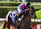 Plesa Anticipating Itsmyluckyday's Return Plesa Anticipating Itsmyluckyday's Return