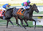 Novak at the Track: Road to Derby Retrospect Novak at the Track: Road to Derby Retrospect