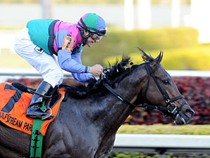 Holy Bull Stars Look Likely for Florida Derby Holy Bull Stars Look Likely for Florida Derby