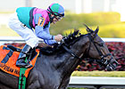 Itsmyluckyday Recovering Well, Plesa Says Itsmyluckyday Recovering Well, Plesa Says