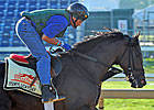 Pegasus Next Up for Verrazano, Itsmyluckyday Pegasus Next Up for Verrazano, Itsmyluckyday