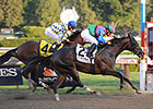 Itsmyluckyday Shortens Up as Kelso Favorite Itsmyluckyday Shortens Up as Kelso Favorite