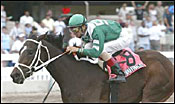 Ivanavinalot Too Much for My Boston Gal Ivanavinalot Too Much for My Boston Gal