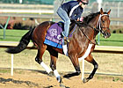 J.B.'s Thunder: 'A Definite Go' for Juvenile J.B.'s Thunder: 'A Definite Go' for Juvenile