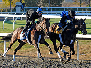 J. B.'s Thunder Tunes Up for BC Juvenile J. B.'s Thunder Tunes Up for BC Juvenile