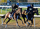 J. B.'s Thunder Tunes Up for BC Juvenile