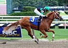 Quick Juvenile Colts to Battle in Hopeful