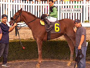 Milestone Victory 2,500 for Jockey Acosta Milestone Victory 2,500 for Jockey Acosta