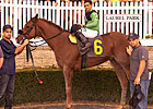 Milestone Victory 2,500 for Jockey Acosta Milestone Victory 2,500 for Jockey Acosta