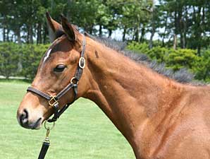 JRHA Select Sale Set to Begin JRHA Select Sale Set to Begin