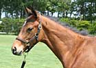 JRHA Select Sale Set to Begin JRHA Select Sale Set to Begin