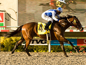Man o' War Runners Top Juvenile Ranks Man o' War Runners Top Juvenile Ranks