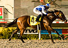 Man o' War Runners Top Juvenile Ranks