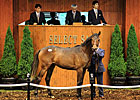 Record Gross for JRHA Yearling Sale Record Gross for JRHA Yearling Sale