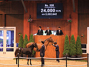 Azeri Foal by Deep Impact Tops JRHA Sale Azeri Foal by Deep Impact Tops JRHA Sale