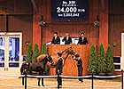 Azeri Foal by Deep Impact Tops JRHA Sale Azeri Foal by Deep Impact Tops JRHA Sale