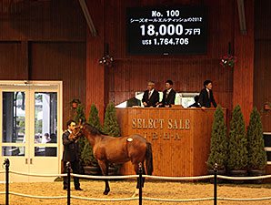 Deep Impact Colt Leads Record JRHA Sale Deep Impact Colt Leads Record JRHA Sale