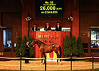 Sheikh Fahad Buys JRHA Yearling Sale-Topper Sheikh Fahad Buys JRHA Yearling Sale-Topper