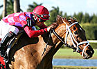 Pletcher Eyes Another Sheepshead Bay Win