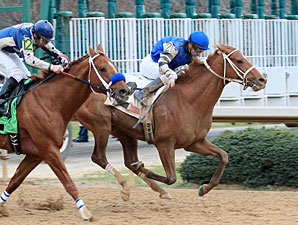 Bone Chip Takes Junebugred Off TC Trail Bone Chip Takes Junebugred Off TC Trail