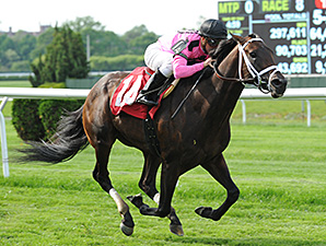 Poker Winner Jack Milton Puts Pletcher at Top Poker Winner Jack Milton Puts Pletcher at Top