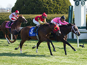 Jack Milton Wins First Stakes in Transylvania Jack Milton Wins First Stakes in Transylvania