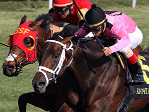 Jack Milton Heads Secretariat Baker's Dozen Jack Milton Heads Secretariat Baker's Dozen