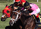 Jack Milton Heads Secretariat Baker's Dozen Jack Milton Heads Secretariat Baker's Dozen