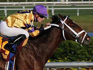 Rivals Meet Again in Hallandale Beach