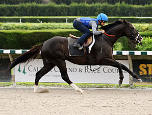 Jackson Bend Returns to Training Jackson Bend Returns to Training