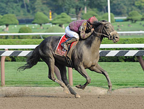 Jackson Bend Cruises in Forego Jackson Bend Cruises in Forego