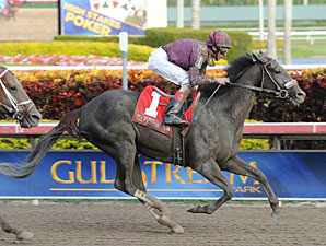 Jackson Bend Wins Hal's Hope With Late Burst Jackson Bend Wins Hal's Hope With Late Burst