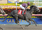 Jackson Bend Wins Hal's Hope With Late Burst Jackson Bend Wins Hal's Hope With Late Burst