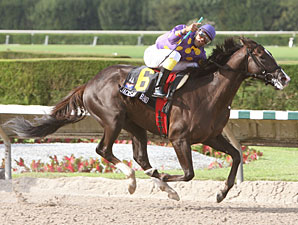 Jackson Bend Sweeps Florida Stallion Stakes
