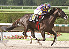 Jackson Bend Sweeps Florida Stallion Stakes